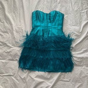 Blue Feathered Dress